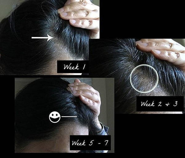 Hair Growth Journal: A Beauty Blogger's Journey